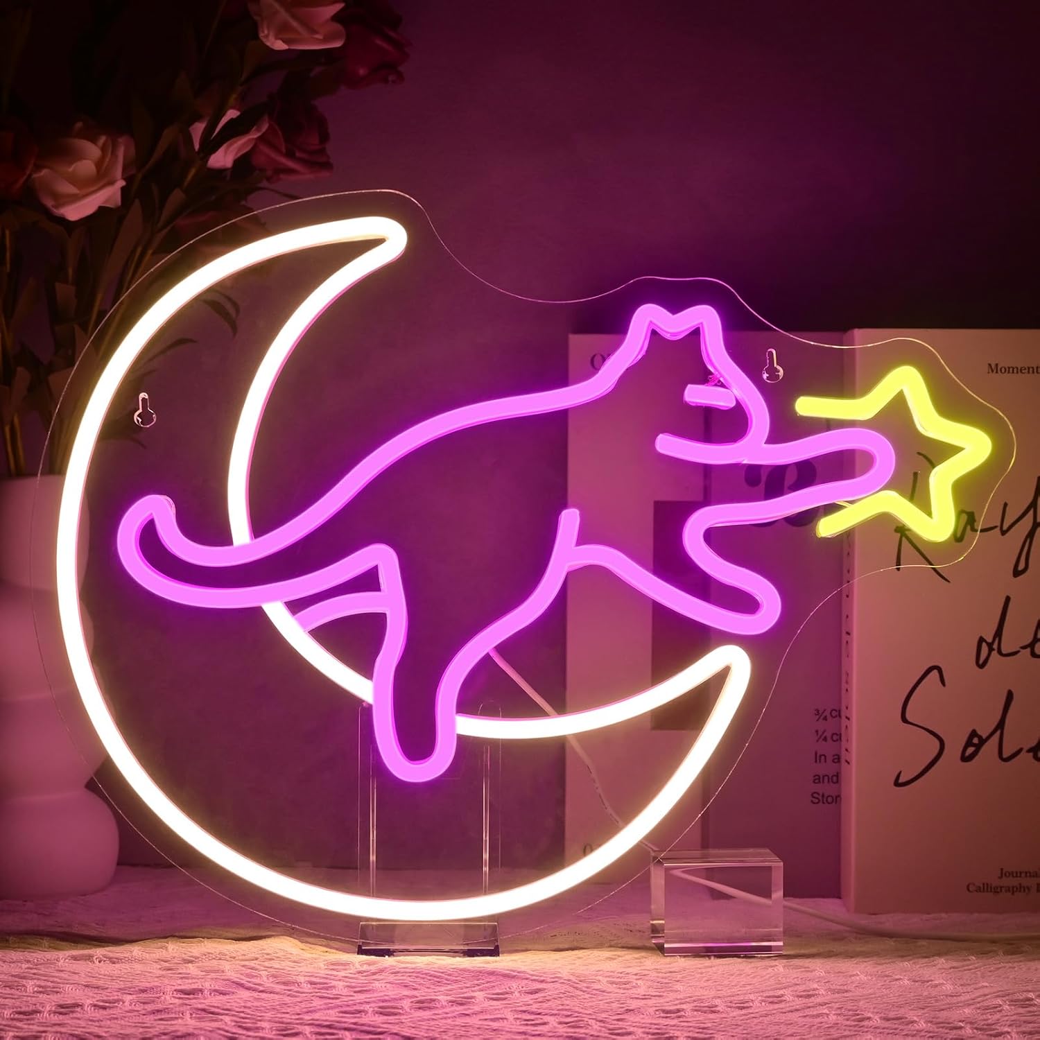 Kids Outdoor Gift Ideas - Cat On The Moon Neon Sign