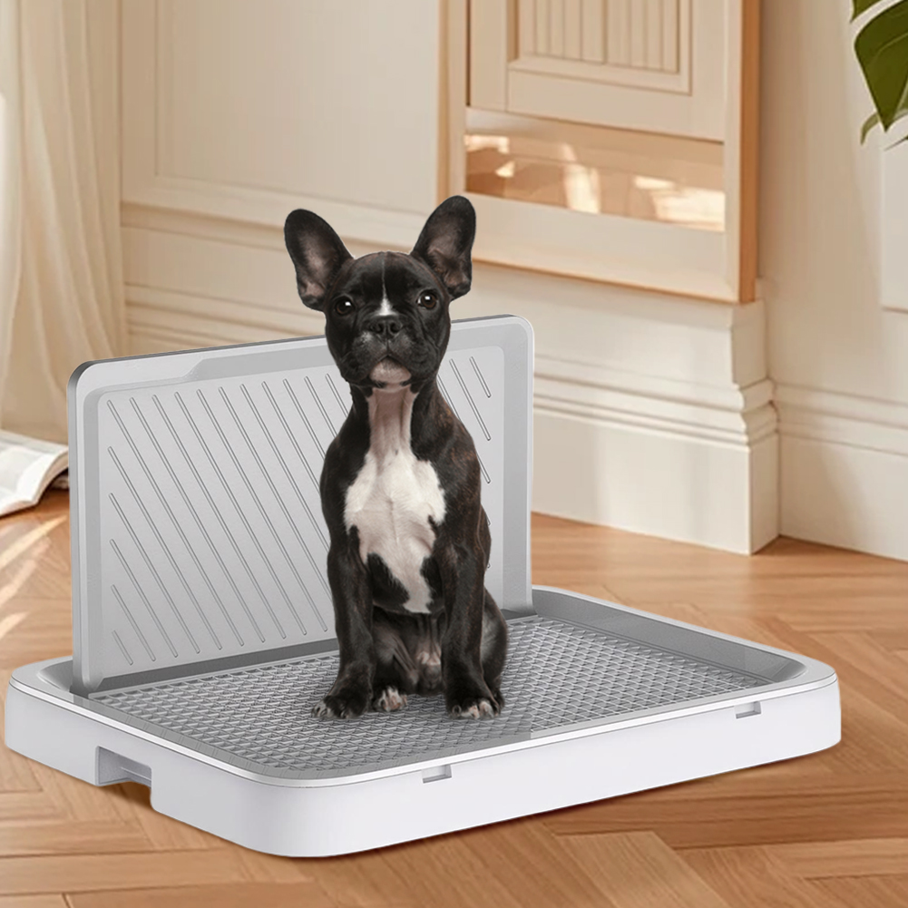 Dog Potty Tray with Pee Wall T - огляд і ціна Sprinkler Splash Pad